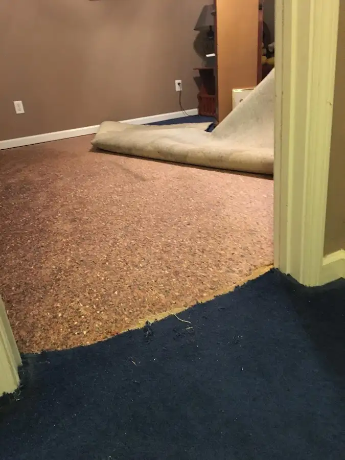 Carpet pad removal revealing water damage during Drying & Dehumidification in Macon