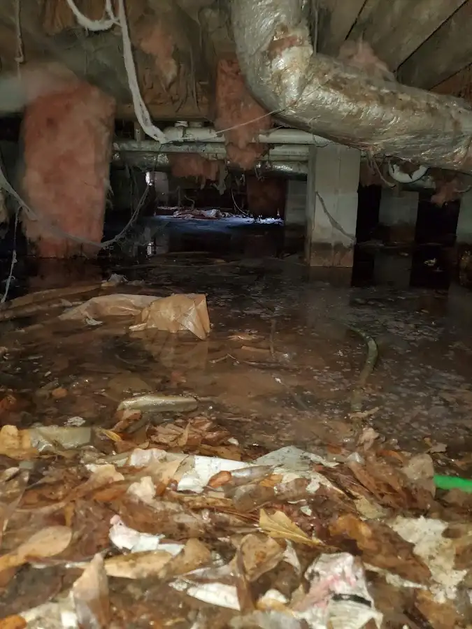 Crawl space flood assessment for Leak Detection & Repair in Macon