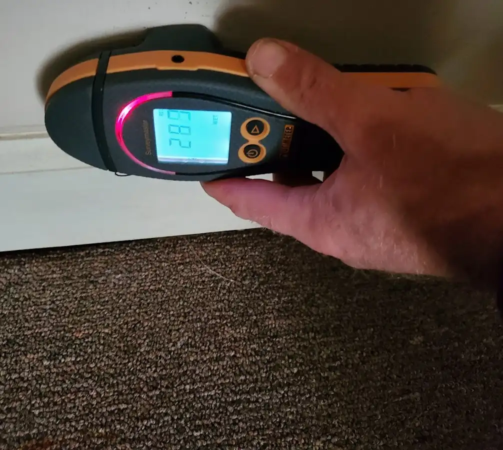 Moisture detection at baseboard during Sewage Cleanup & Sanitation in Macon